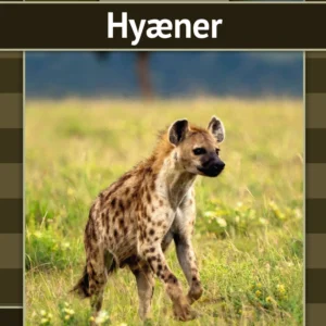 Hyæner