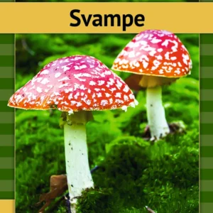 Svampe