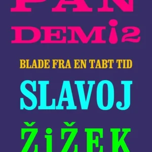 Pandemi! 2.
