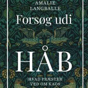 Forsøg udi håb