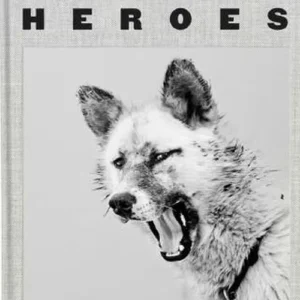 Arctic Heroes: A Tribute to the Sled Dogs of Greenland