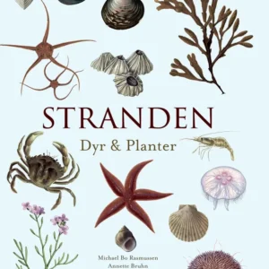 Stranden