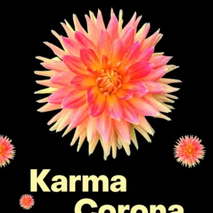 Karma Corona