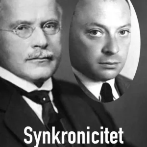 Synkronicitet
