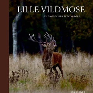 Lille Vildmose