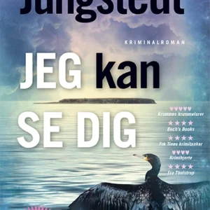 Jeg kan se dig
