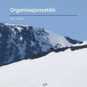 Organisasjonsetikk