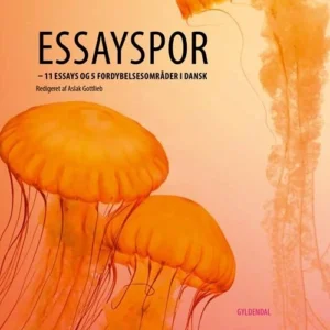 Essayspor