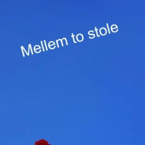 Mellem to stole