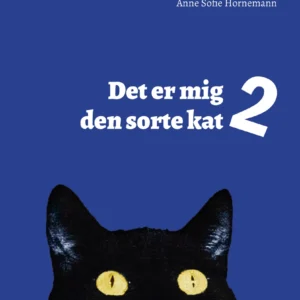 Det er mig den sorte kat 2