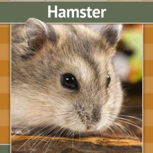 Hamster