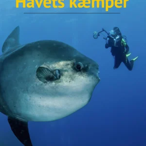Havets kæmper