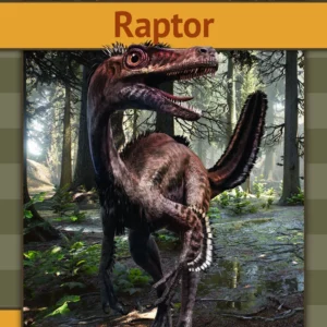 Raptor