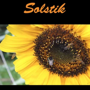 Solstik