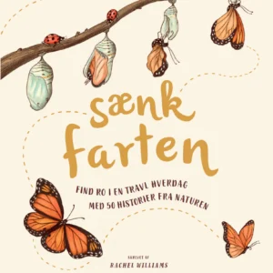 Sænk farten