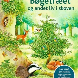 Bøgetræet og andet liv i skoven