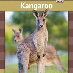 Kangaroo