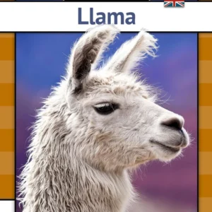 Llama