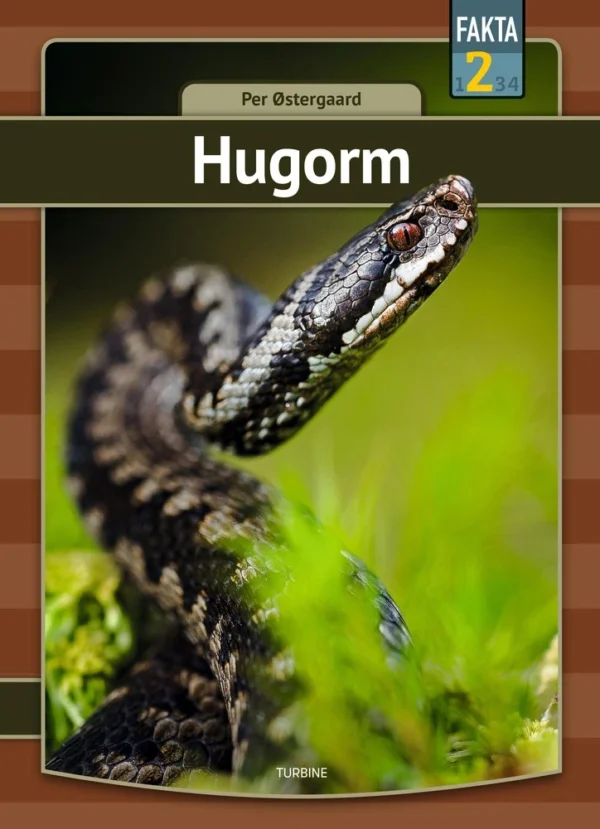 Hugorm