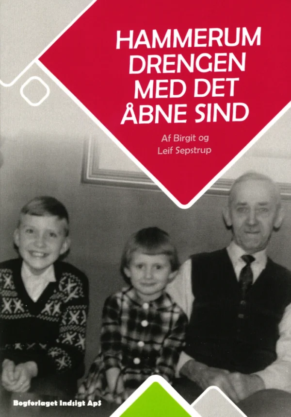 Hammerum Drengen Med Det Åbne Sind