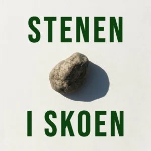 STENEN I SKOEN