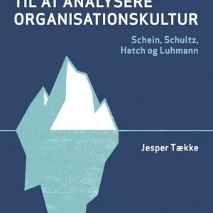 Strategier til at analysere organisationskultur