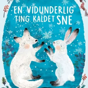 En vidunderlig ting kaldet sne