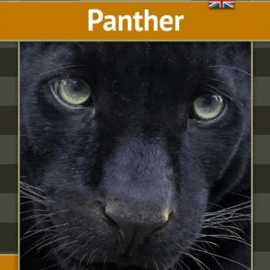 Panther