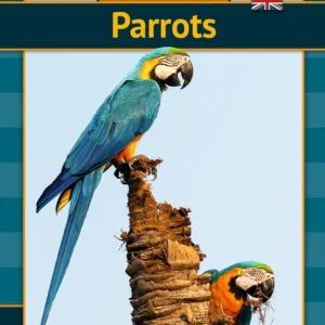 Parrots