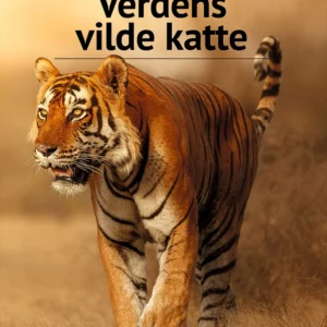 Verdens vilde katte