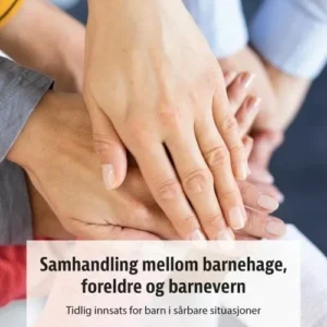 Samhandling mellom barnehage, foreldre og barnevern : tidlig innsats for barn i sårbare situasjoner