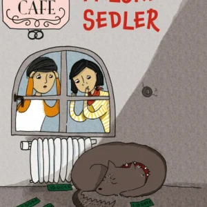 Falske sedler