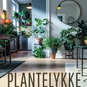 Plantelykke