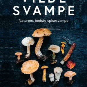 Vilde svampe