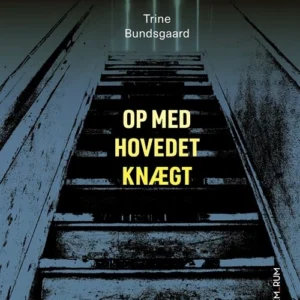 Mellem_rum. Op med hovedet knægt