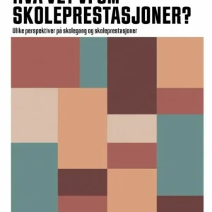 Hva vet vi om skoleprestasjoner? : ulike perspektiver på skolegang og skoleprestasjoner
