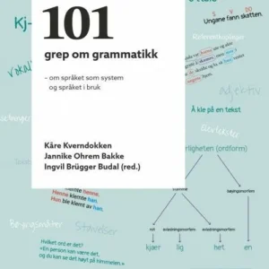 101 grep om grammatikk : om språket som system og språket i bruk