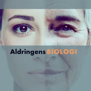Aldringens biologi