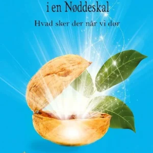 Livet efter døden i en Nøddeskal
