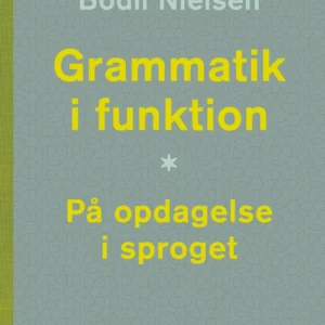 Grammatik i funktion
