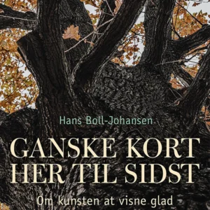 Ganske kort her til sidst