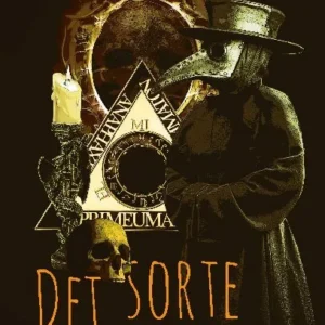 Det sorte spejl