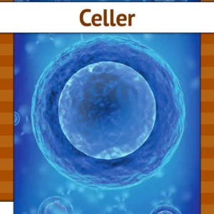 Celler