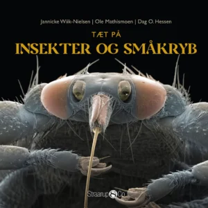 Tæt på insekter og småkryb