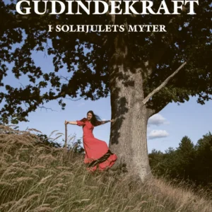 Nordisk gudindekraft i solhjulets myter