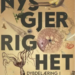 Nysgjerrighet : dybdelæring i informasjonssamfunnet
