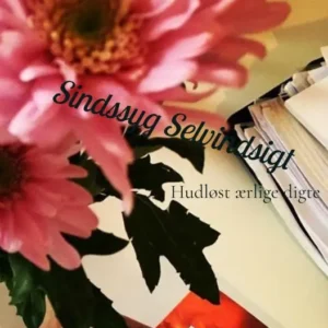 Sindssyg Selvindsigt