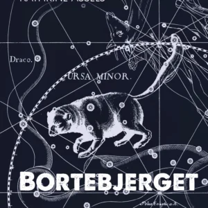 Bortebjerget