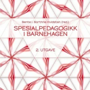 Spesialpedagogikk i barnehagen : barnet i fokus