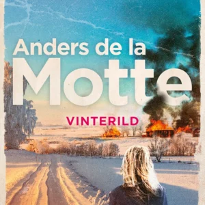 Vinterild